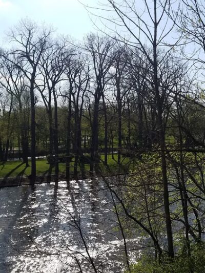 Niles Ave Dog Park by Matthews LLC - South Bend, IN