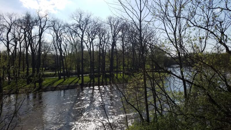 Niles Ave Dog Park by Matthews LLC - South Bend, IN