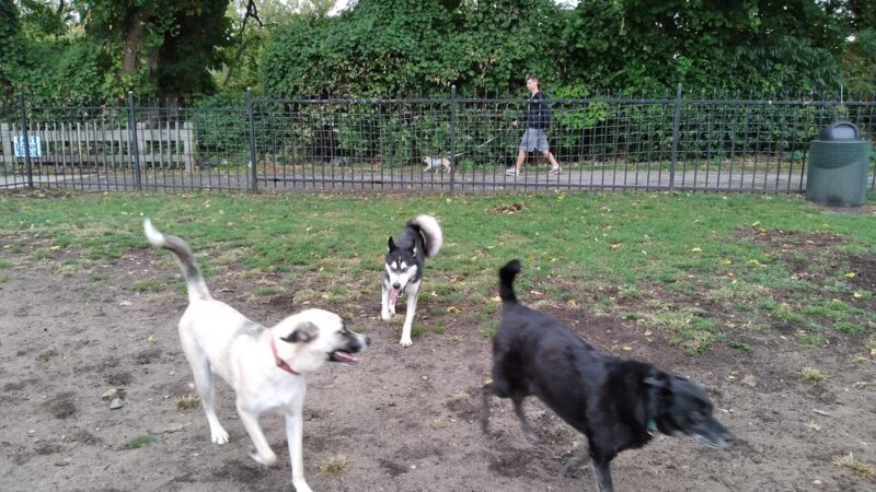 Niles Ave Dog Park by Matthews LLC - South Bend, IN
