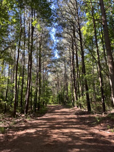 Fresh Pond Route 1 Parking - South Bethany, DE