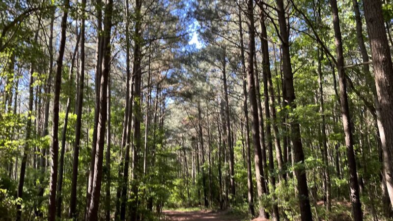 Fresh Pond Route 1 Parking - South Bethany, DE