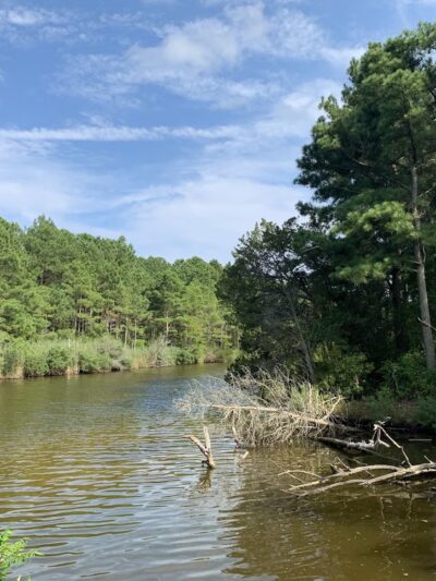 Fresh Pond Route 1 Parking - South Bethany, DE