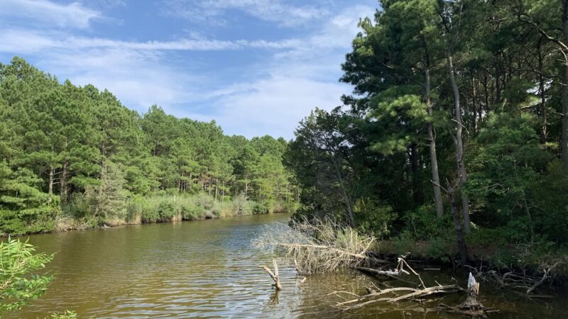 Fresh Pond Route 1 Parking - South Bethany, DE