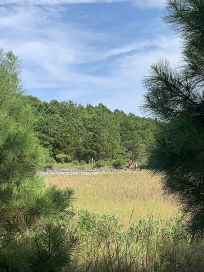 Fresh Pond Route 1 Parking - South Bethany, DE