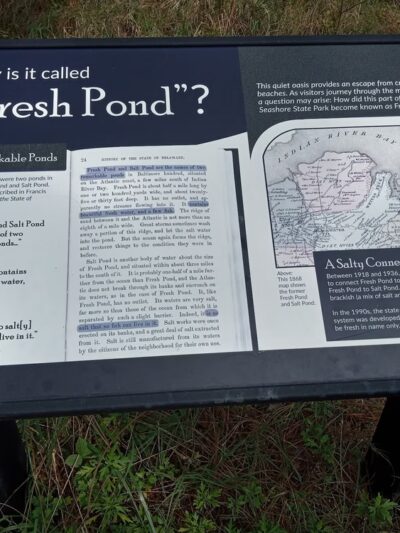 Fresh Pond Route 1 Parking - South Bethany, DE