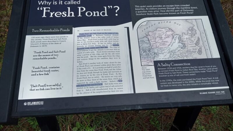 Fresh Pond Route 1 Parking - South Bethany, DE