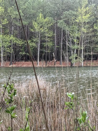 Fresh Pond Route 1 Parking - South Bethany, DE