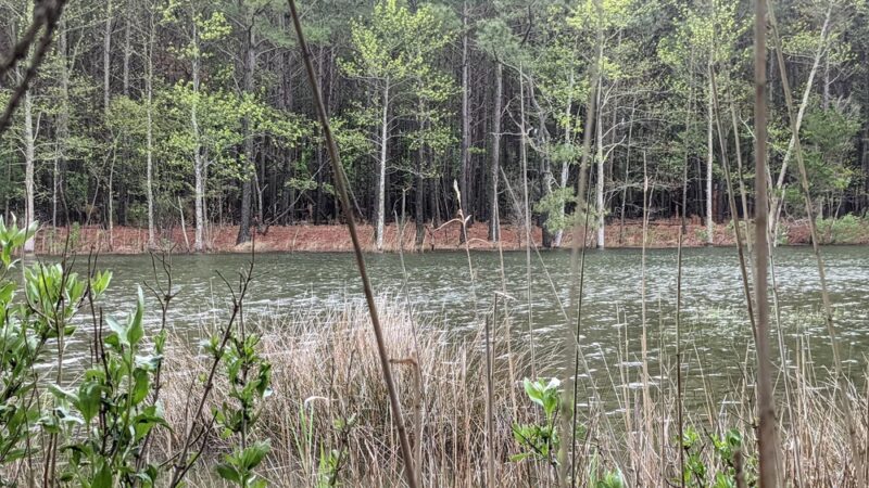 Fresh Pond Route 1 Parking - South Bethany, DE