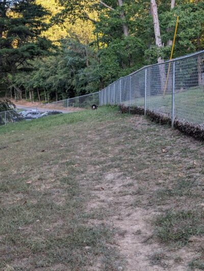 Little Creek Dog Park - South Charleston, WV