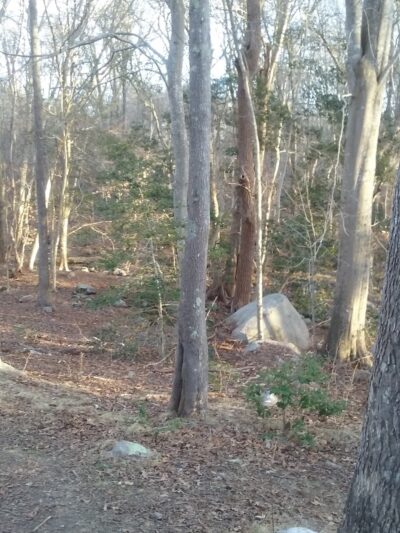 Dartmouth Community Park - South Dartmouth, MA