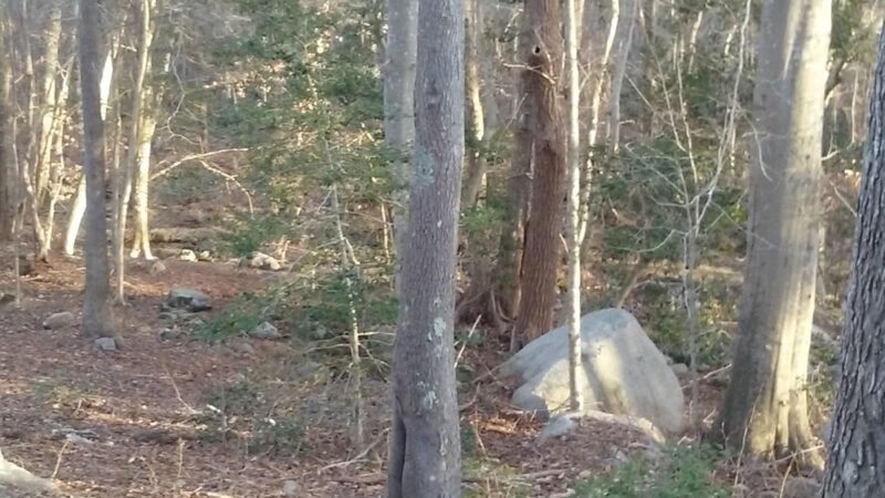 Dartmouth Community Park - South Dartmouth, MA