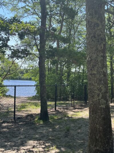 Fresh Pond Conservation Land - South Dennis, MA