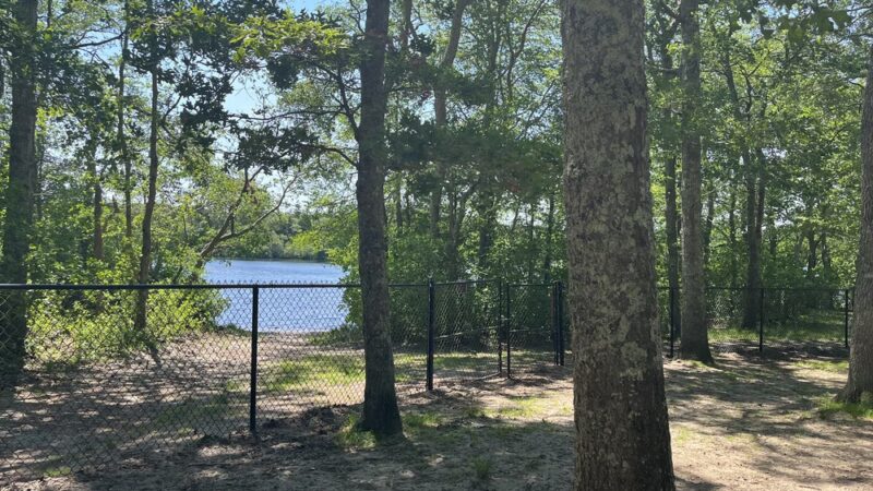 Fresh Pond Conservation Land - South Dennis, MA