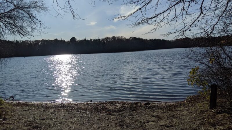 Fresh Pond Conservation Land - South Dennis, MA