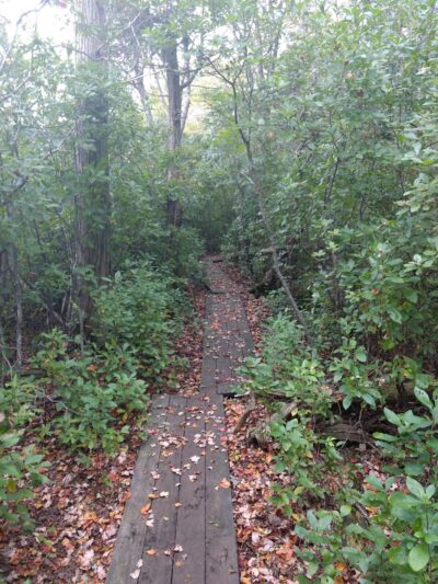 Fresh Pond Conservation Land - South Dennis, MA