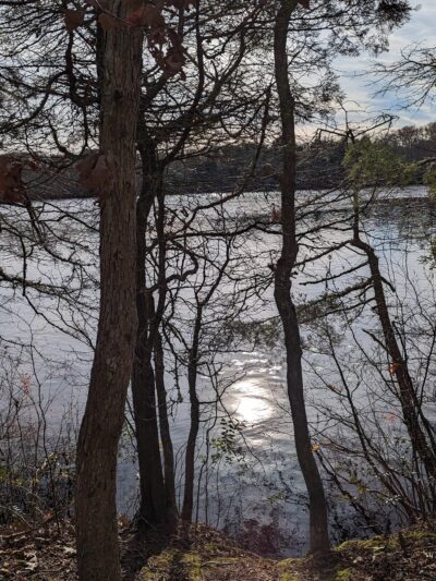 Fresh Pond Conservation Land - South Dennis, MA