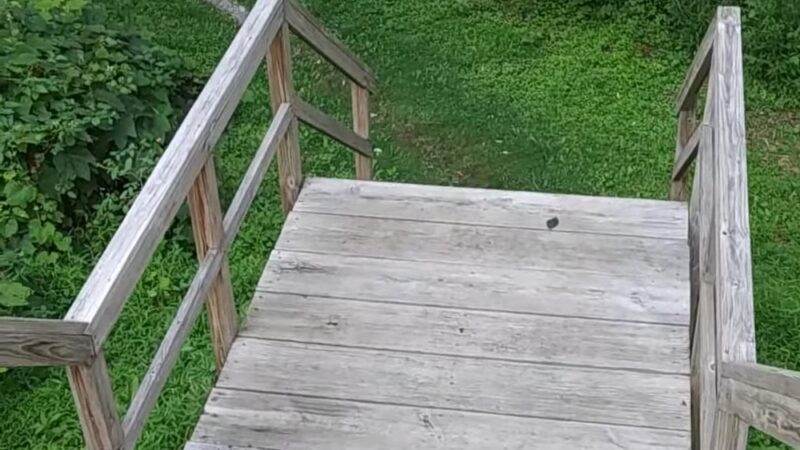 Carriage Road Nature Trail - South Fork, PA