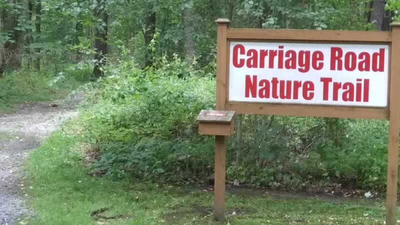 Carriage Road Nature Trail - South Fork, PA