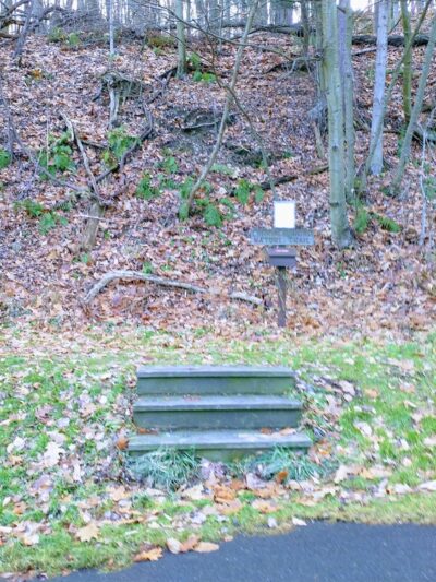 Carriage Road Nature Trail - South Fork, PA