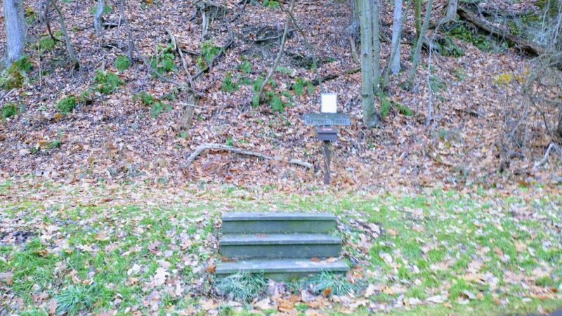 Carriage Road Nature Trail - South Fork, PA