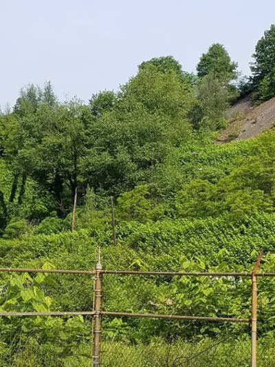 Ehrenfeld Park - South Fork, PA