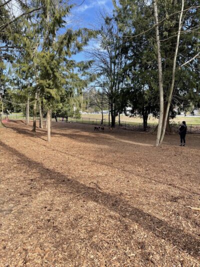 Habitat Dog Park - South Hill, WA
