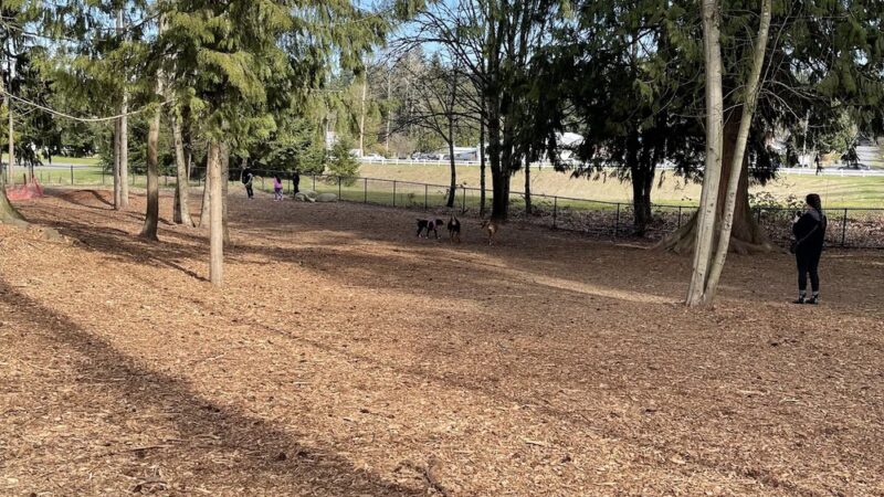Habitat Dog Park - South Hill, WA