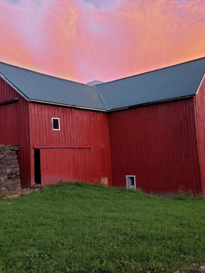 Weathered Hill Farm llc - South Kortright, NY