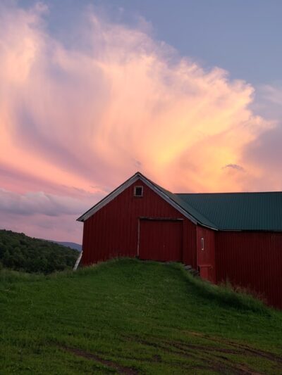 Weathered Hill Farm llc - South Kortright, NY