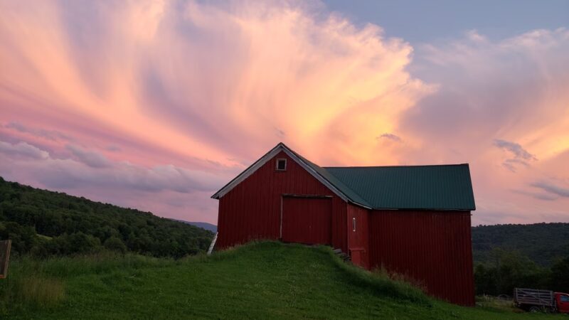 Weathered Hill Farm llc - South Kortright, NY