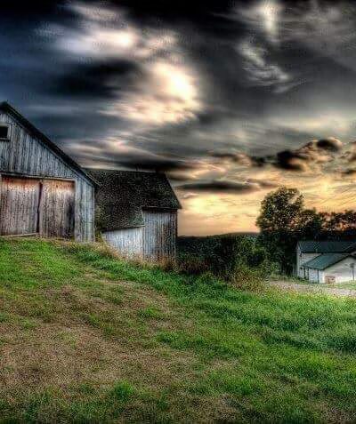 Weathered Hill Farm llc - South Kortright, NY