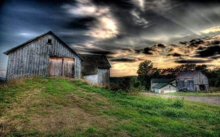 Weathered Hill Farm llc - South Kortright, NY