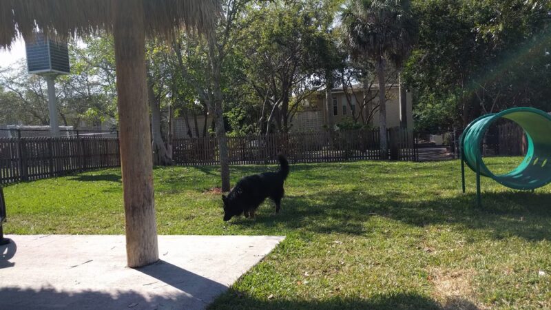 South Miami Dog Park - South Miami, FL