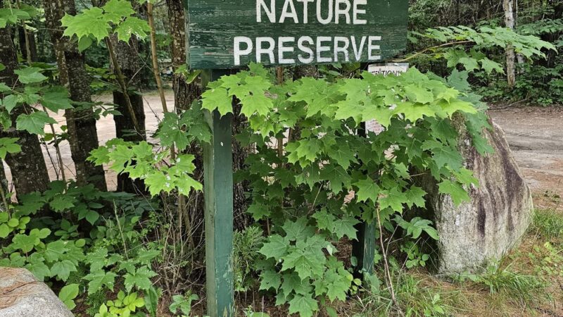 Cornwall Nature Preserve - South Paris, ME