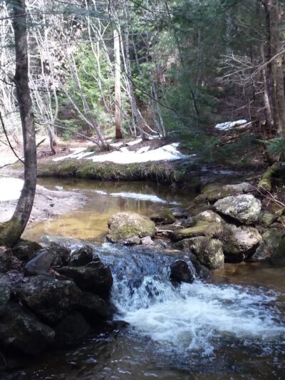 Cornwall Nature Preserve - South Paris, ME