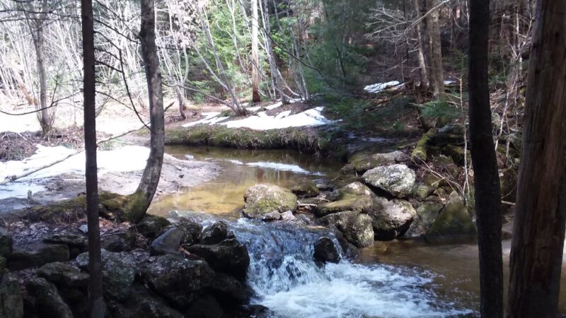 Cornwall Nature Preserve - South Paris, ME