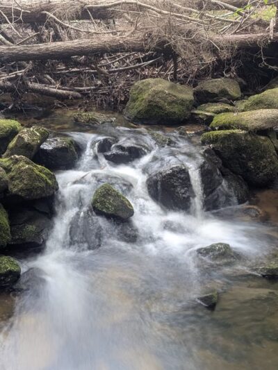 Cornwall Nature Preserve - South Paris, ME