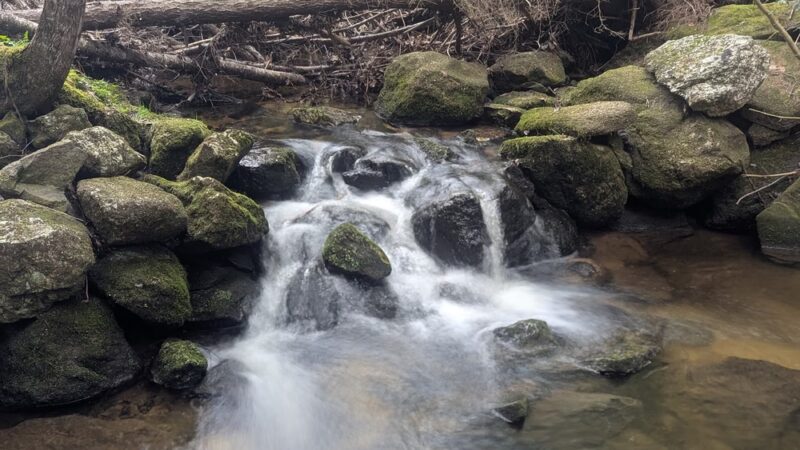 Cornwall Nature Preserve - South Paris, ME