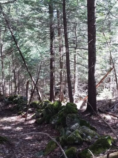 Cornwall Nature Preserve - South Paris, ME