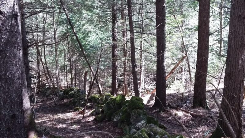 Cornwall Nature Preserve - South Paris, ME