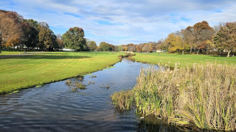 Spring Lake Park - South Plainfield, NJ