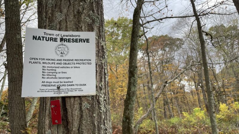 Lewisboro Town Park - South Salem, NY
