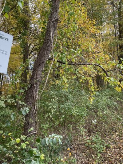 Lewisboro Town Park - South Salem, NY