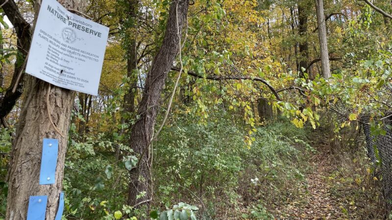 Lewisboro Town Park - South Salem, NY