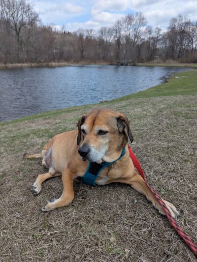 Lewisboro Town Park - South Salem, NY