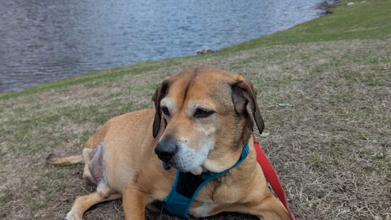 Lewisboro Town Park - South Salem, NY