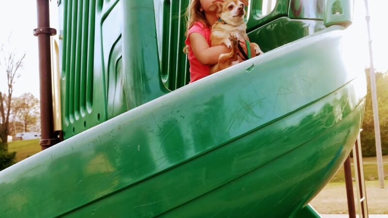 Brookhaven neighborhood park - Southaven, MS