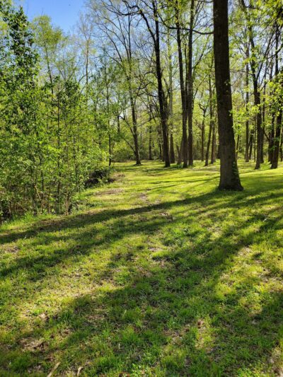 Swinnea Park - Southaven, MS