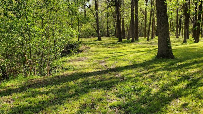Swinnea Park - Southaven, MS