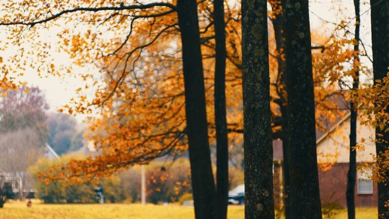 Swinnea Park - Southaven, MS